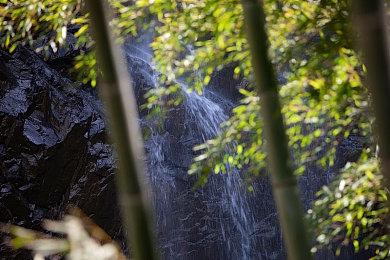 《漫威蜘蛛侠》开发商继续为未公布的多人游戏招募人才
